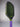 Custom Bread & Butter Invader 16mm Pickleball Paddle - Hesacore - The Alien - Spinwave Pickleball Inc.