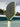 Custom Six Zero Double Black Diamond 16mm Pickleball Paddle - Hesacore Grip - Australian Open - Spinwave Pickleball Inc.