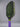 Custom Bread & Butter Invader 16mm Pickleball Paddle - Hesacore - The Alien - Spinwave Pickleball Inc.