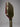 Custom Joola Ben Johns Perseus Pro IV - Pickleball Paddle - Hesacore - Black Magma - Spinwave Pickleball Inc.