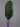 Custom Bread & Butter Invader 16mm Pickleball Paddle - Hesacore - White Noise - Spinwave Pickleball Inc.