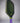 Custom Bread & Butter Invader 16mm Pickleball Paddle - Hesacore - The Alien - Spinwave Pickleball Inc.