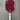 Six Zero Ruby Pickleball Paddle 14mm - USED - Mint Condition