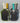 Demo Paddles - Spinwave Pickleball Inc.