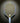 Custom Bread & Butter Loco Pickleball Paddle — Graffiti