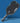 CRBN¹ TF Trufoam Waves - Elongated Pickleball Paddle - Spinwave Pickleball Inc.