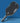 CRBN³ TF Trufoam Waves Hybrid Pickleball Paddle - Spinwave Pickleball Inc.