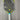 JOOLA Anna Bright Scorpeus 3 14mm Pickleball Paddle - USED