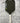 Spinwave Tyro 16mm Kevlar/Carbon Pickleball Paddle — Spinwave Certified Pre-Owned (Mint) - Spinwave Pickleball Inc.