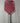 HONOLULU Pickleball Company Sword & Shield J2K 14mm - Red - USED