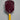 Custom Six Zero Ruby Pickleball Paddle 16mm or 14mm - Hawaii