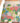 Skort Obsession A Rose Is a Rose Pull-On Skort