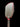 Custom Joola Andre Agassi Pro IV - Pickleball Paddle - Blackout - Spinwave Pickleball Inc.