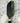 JOOLA Kosmos Pro V 16mm Pickleball Paddle (Federico Staksrud) — Spinwave Certified Pre-Owned (Excellent) - Spinwave Pickleball Inc.