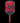 Selkirk OMNI 1776 Limited Edition - Spinwave Pickleball Inc.